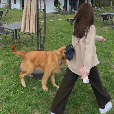 赌仔回头